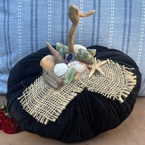 Beach Themed Pumpkin-Sea Shell Pumpkin-Velvet Pumpkin-New!